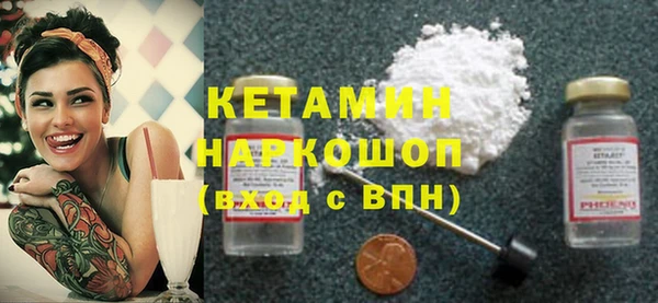 крисы Слюдянка