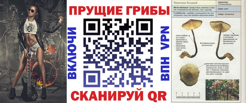 купить наркотик  Голицыно  Галлюциногенные грибы Cubensis 