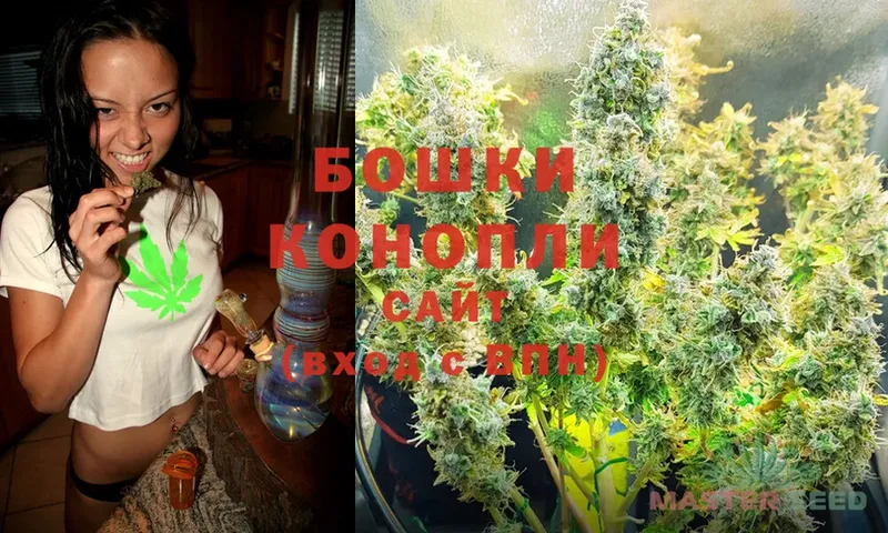 kraken   Голицыно  Каннабис Ganja 