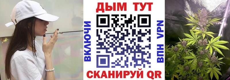 магазин    Голицыно  Бошки марихуана Bruce Banner 
